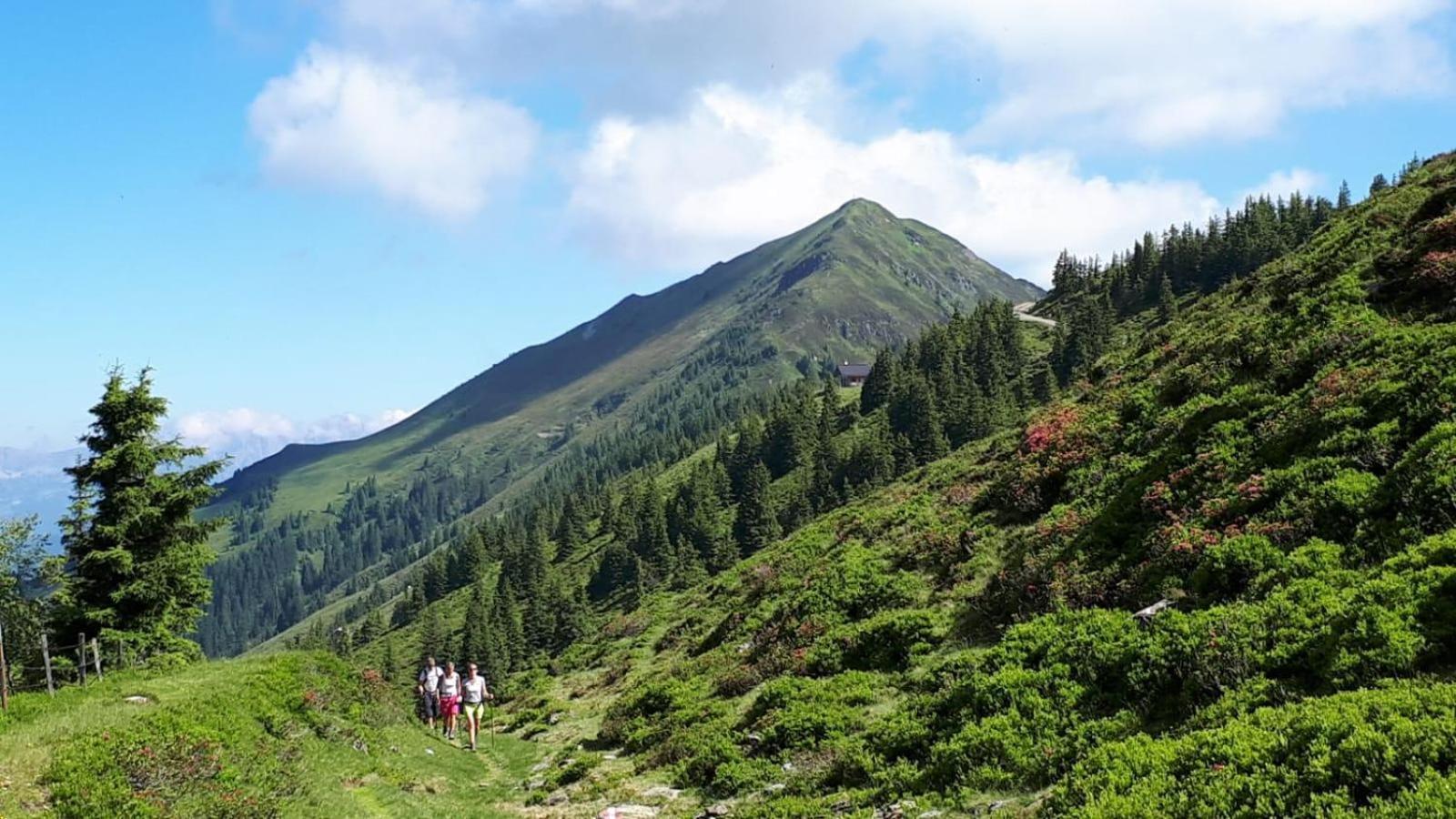Ferienhaus Willms Am Gaisberg كيرشبرغ ان تيرول المظهر الخارجي الصورة